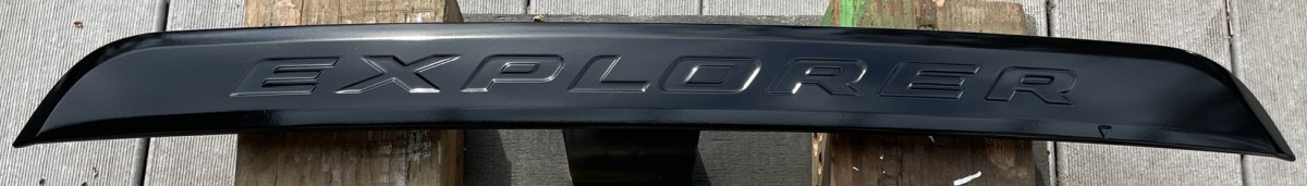 LFP Painted2.jpg