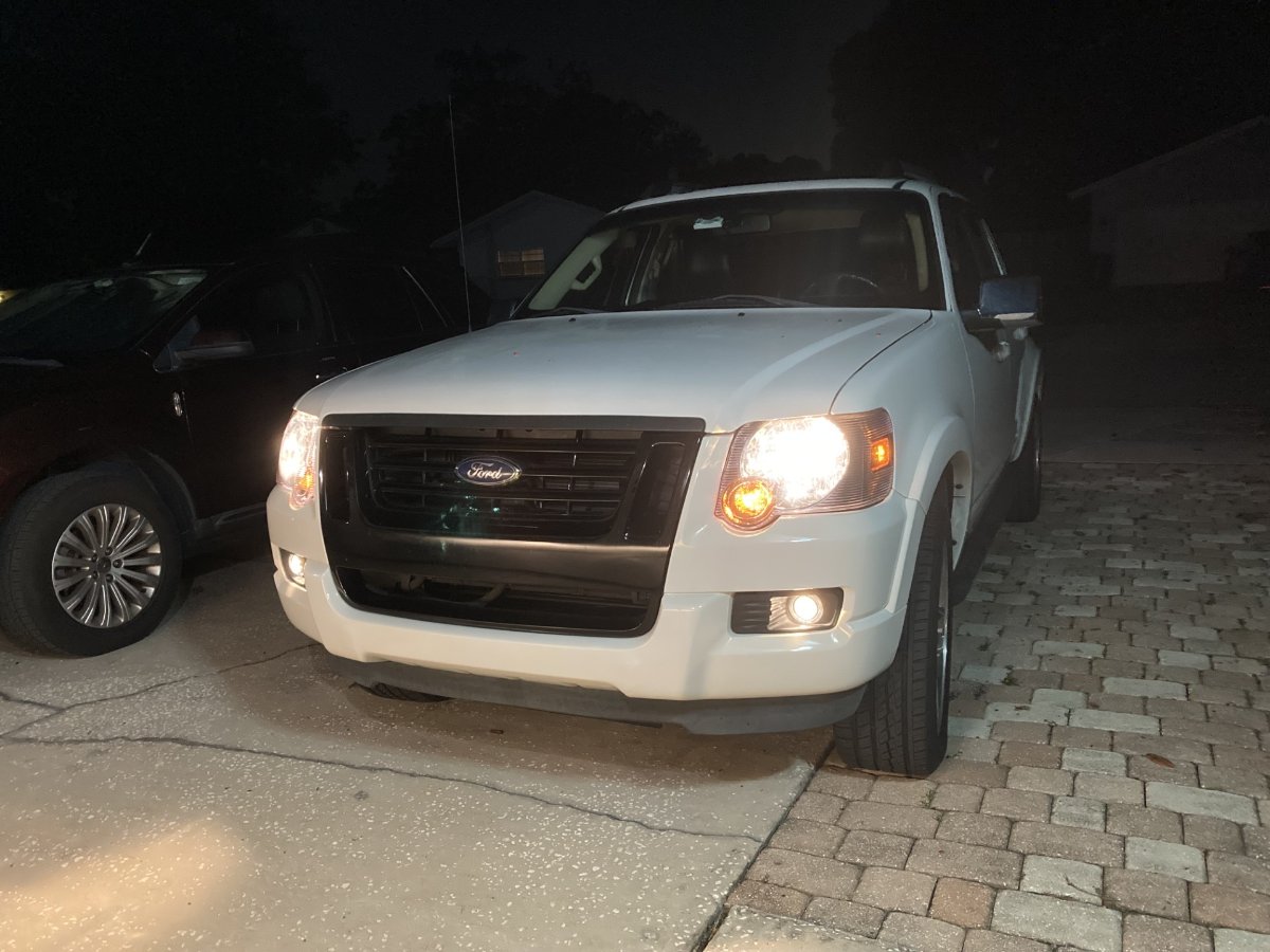 lit fogs 4.jpg