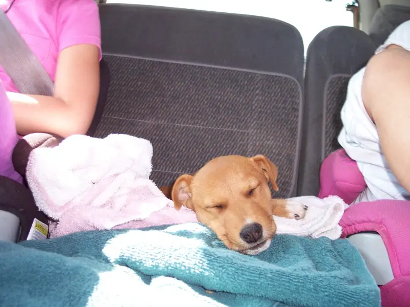 LochLomond48-tuckeredout.jpg