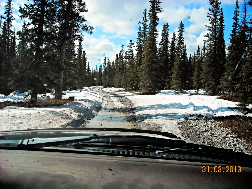 Mar31008_zps0b44f8b9.jpg