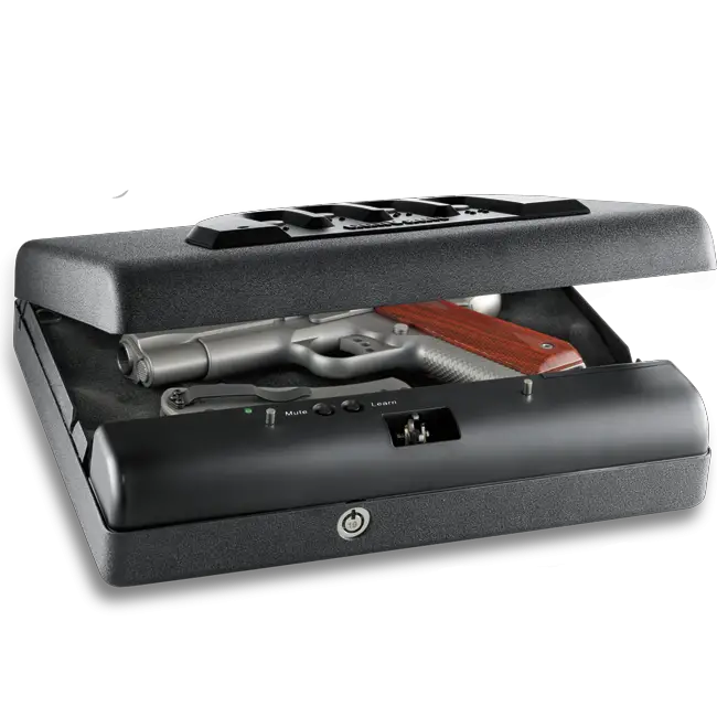 MicroVault.png