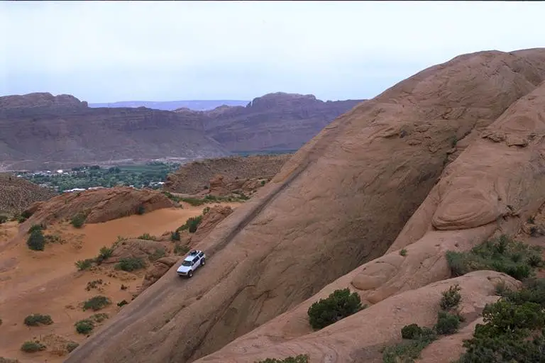 moab_collinlion.jpg
