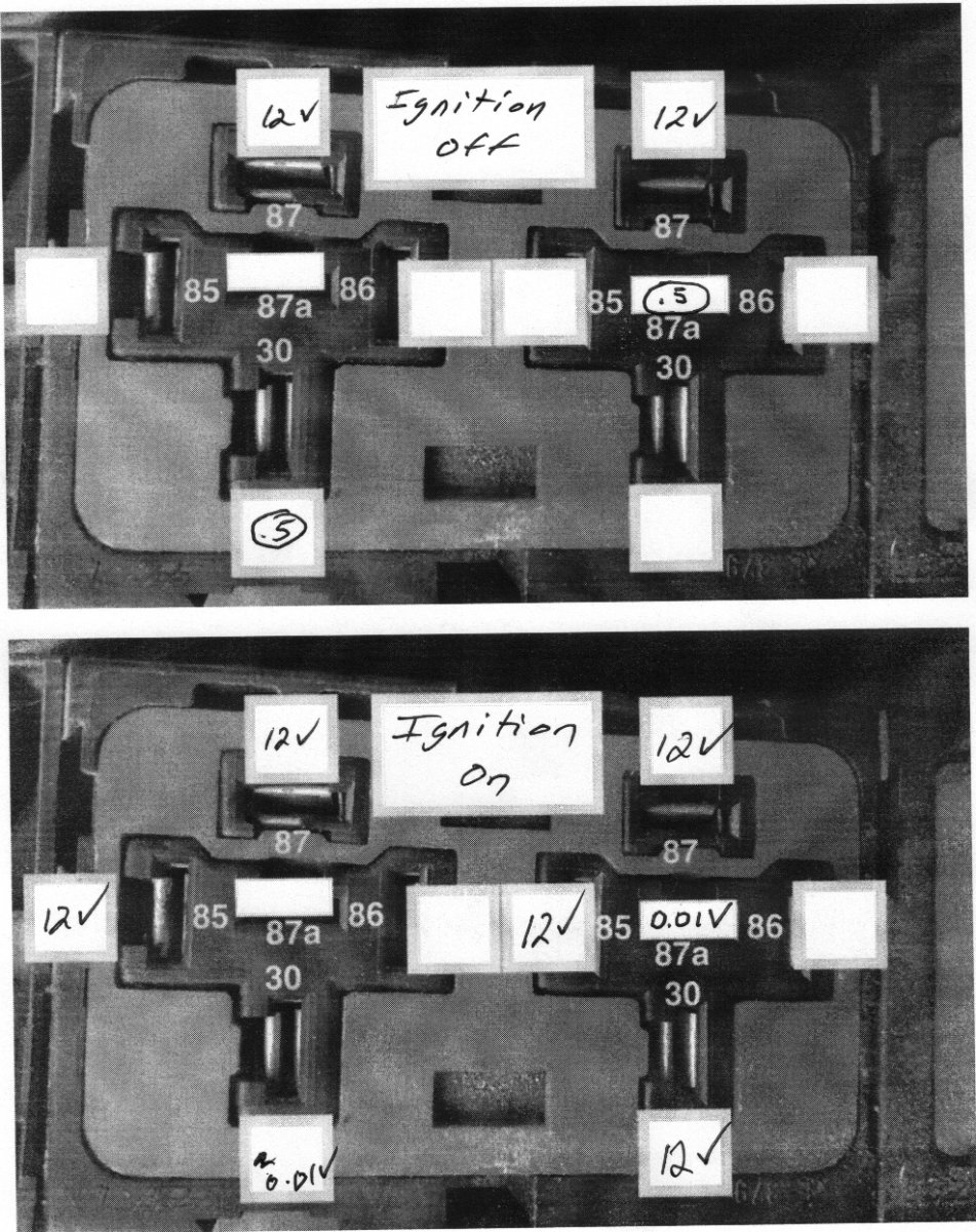 Monty ABS relay sockets 1.jpeg