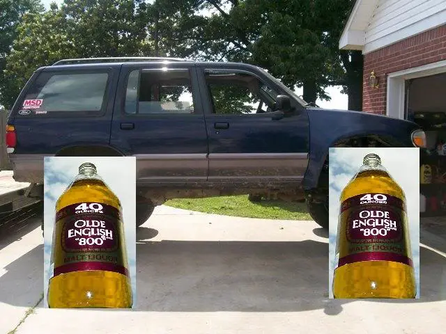 mountyon40s.jpg