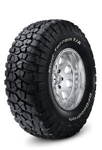 Mud-TerrainTAKM2.jpg