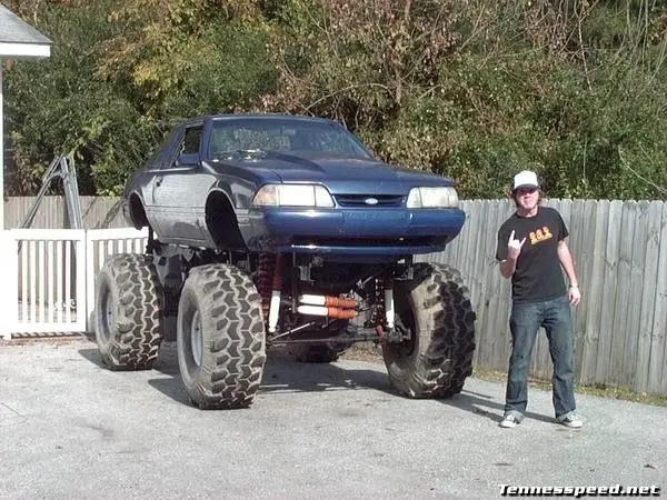 mustang.jpg