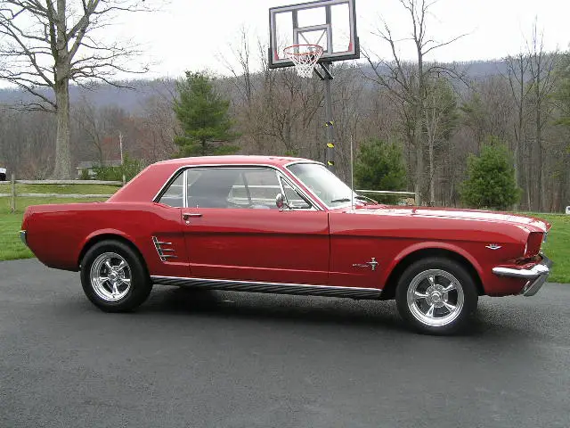 Mustangdone.jpg