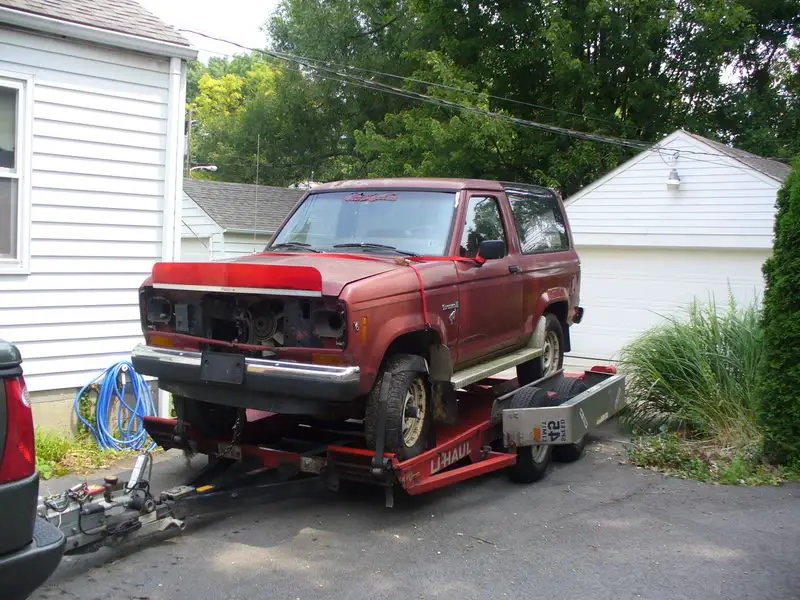 mutt002.jpg