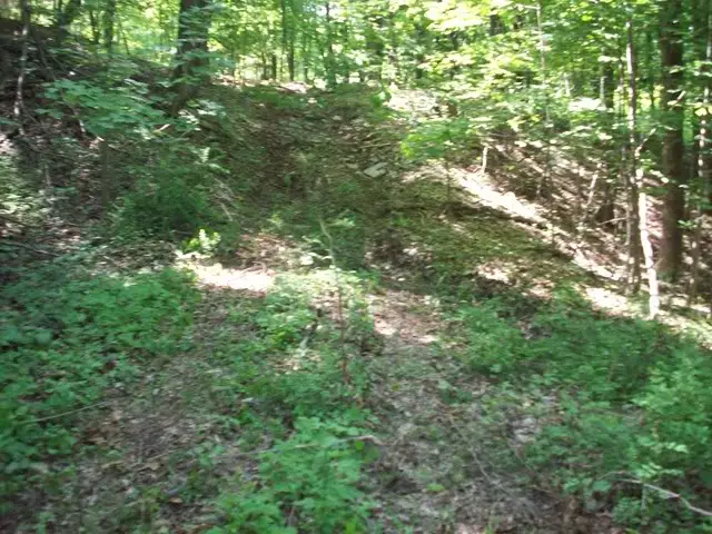 my_new_trail_in_back_yd_sized.jpg
