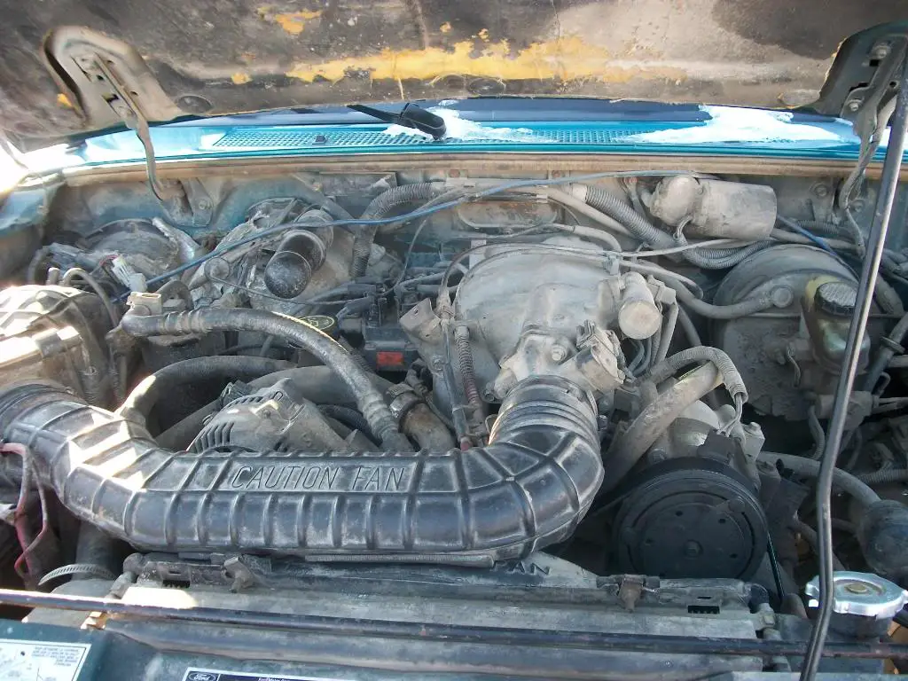 myx008.jpg