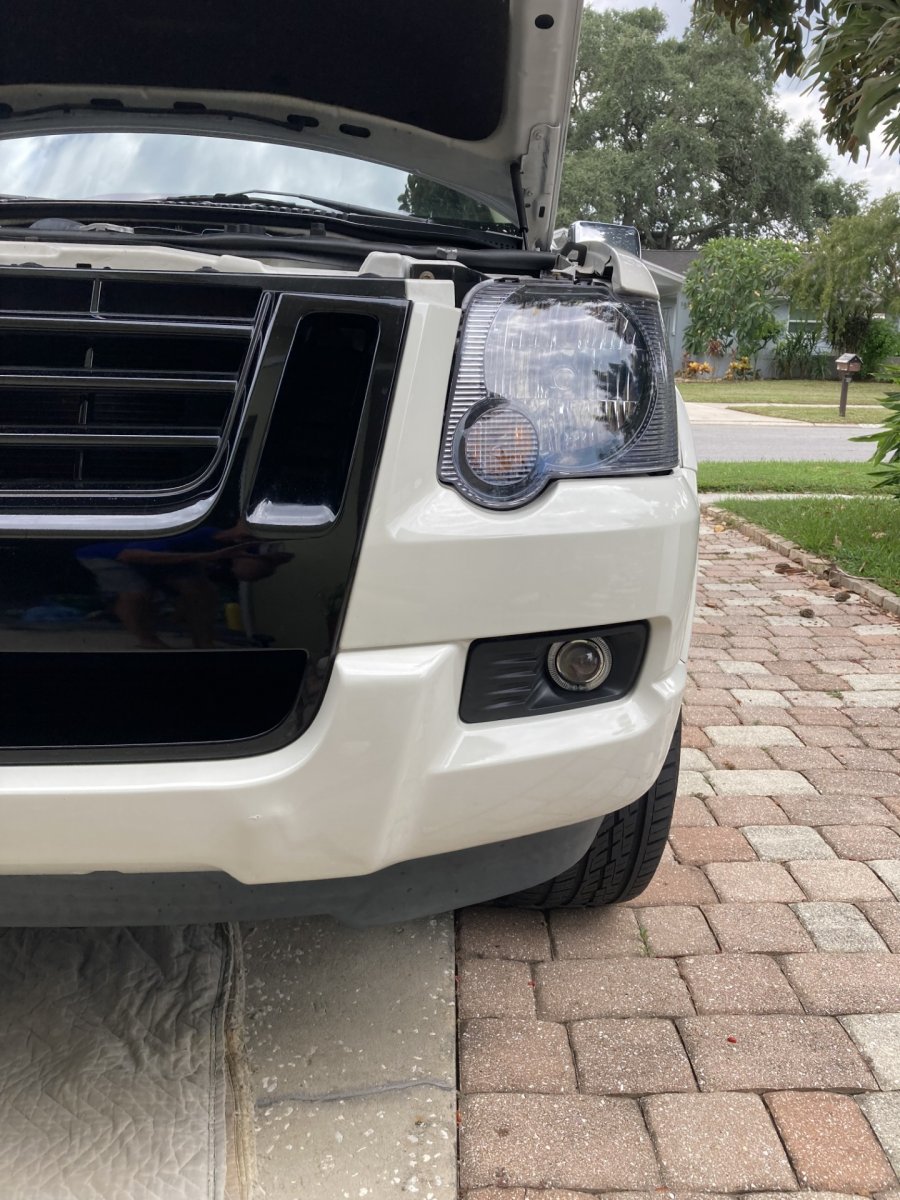 New Fogs close.jpg
