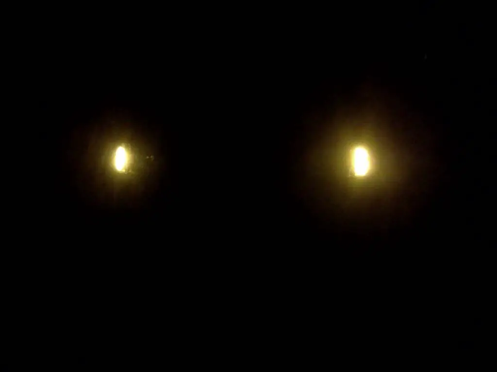 nightsignal.jpg