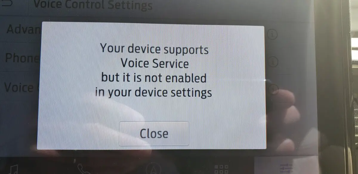 No Voice Service.jpg