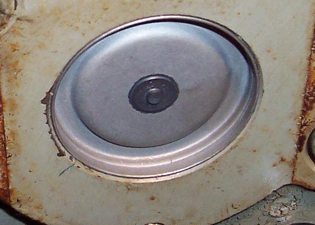 NPlug.jpg