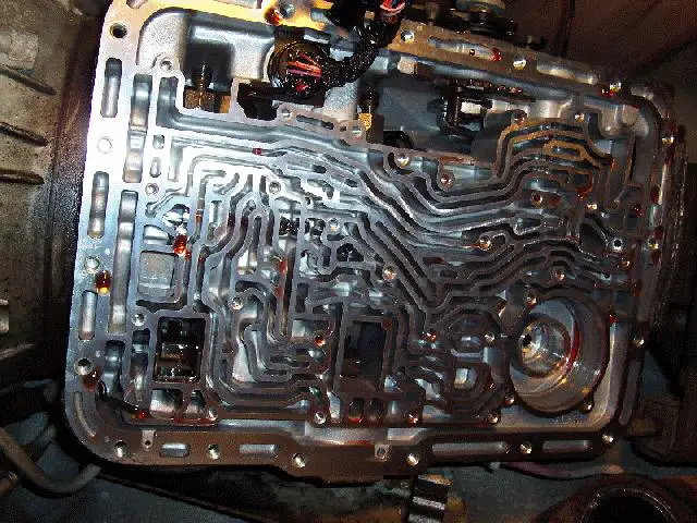 OilPaths.jpg