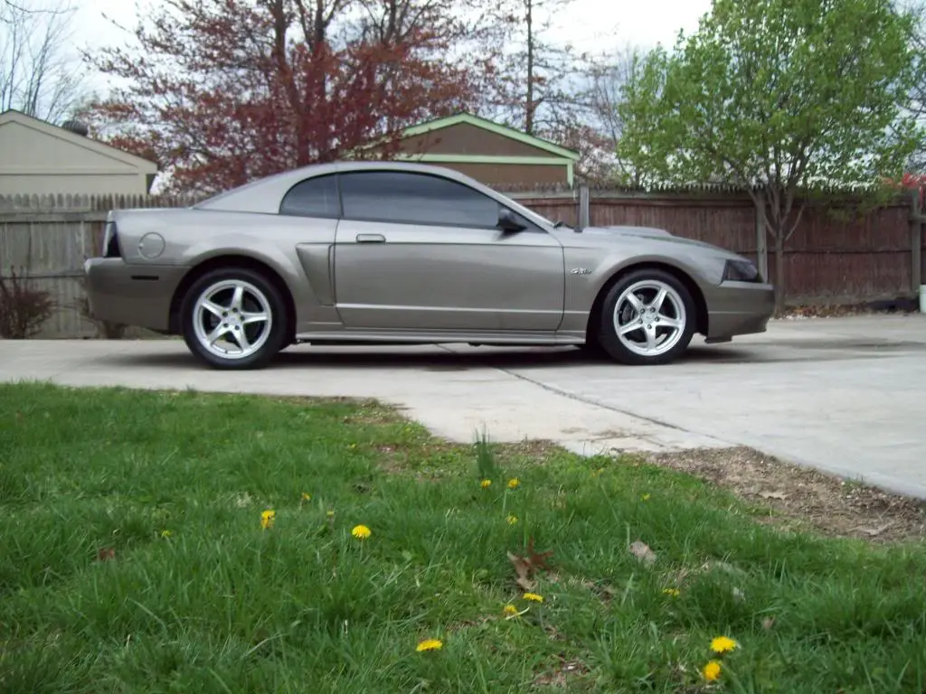 ovr412009016.jpg
