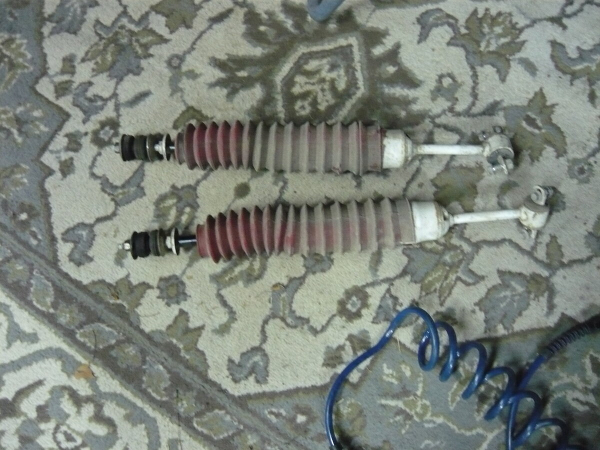 P1000830.JPG