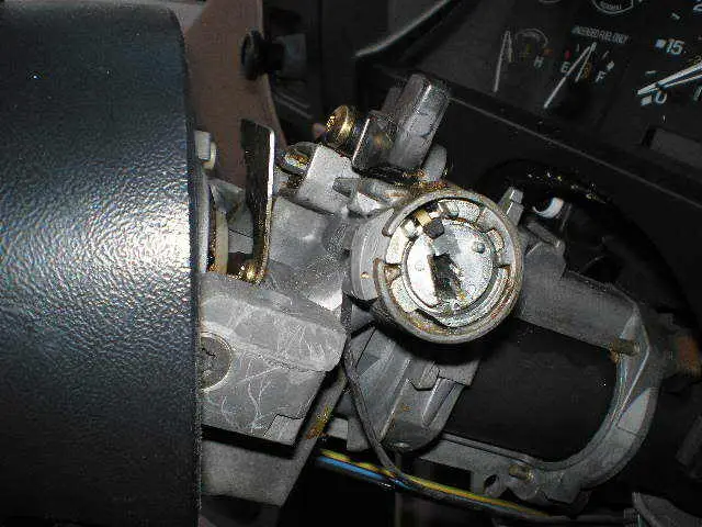 P1010001.jpg