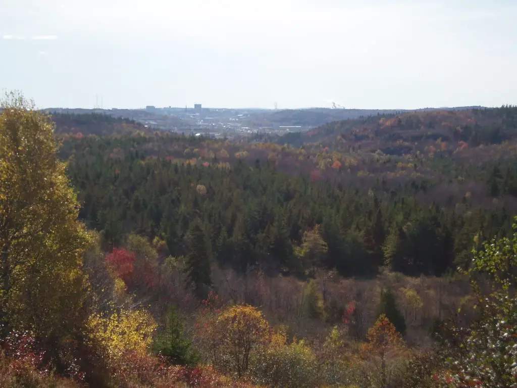 P1010002.jpg