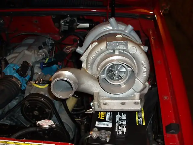 P1010021.jpg