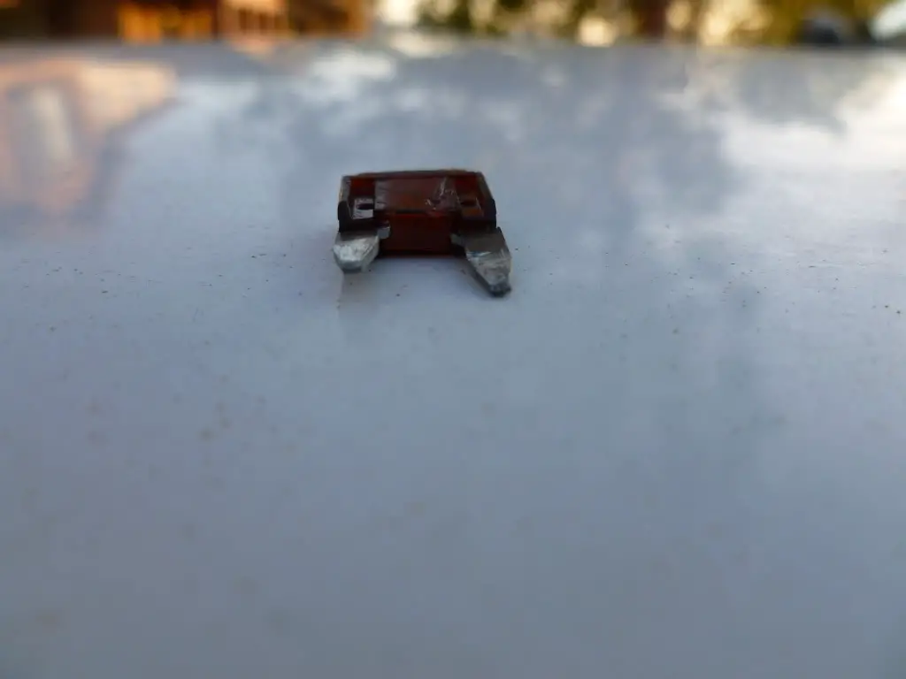 P1010573.jpg