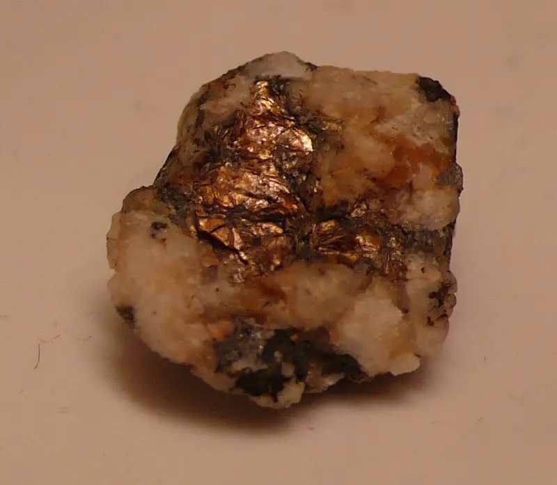 P1040613cropped2.jpg