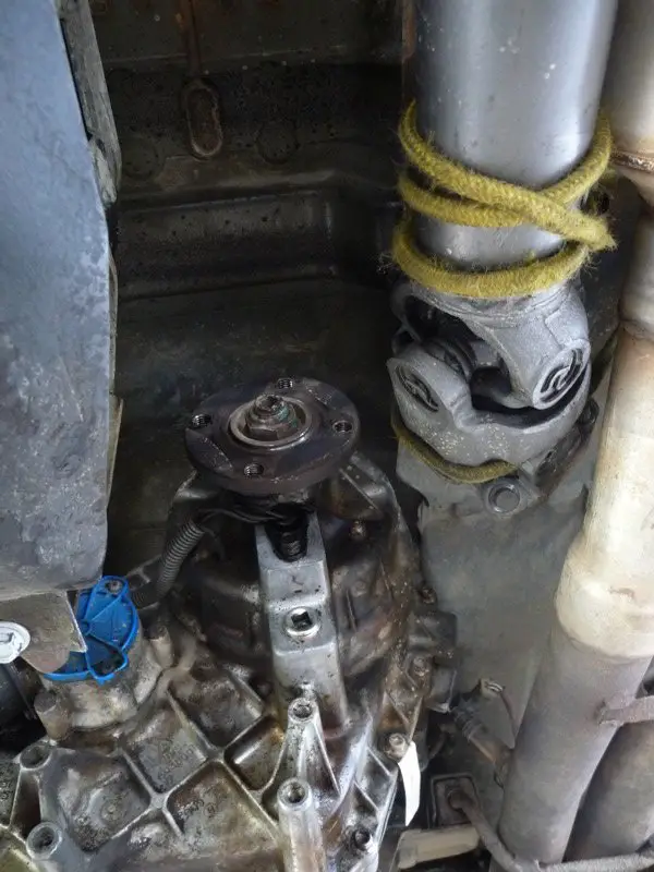 P1040806_lgweb.jpg