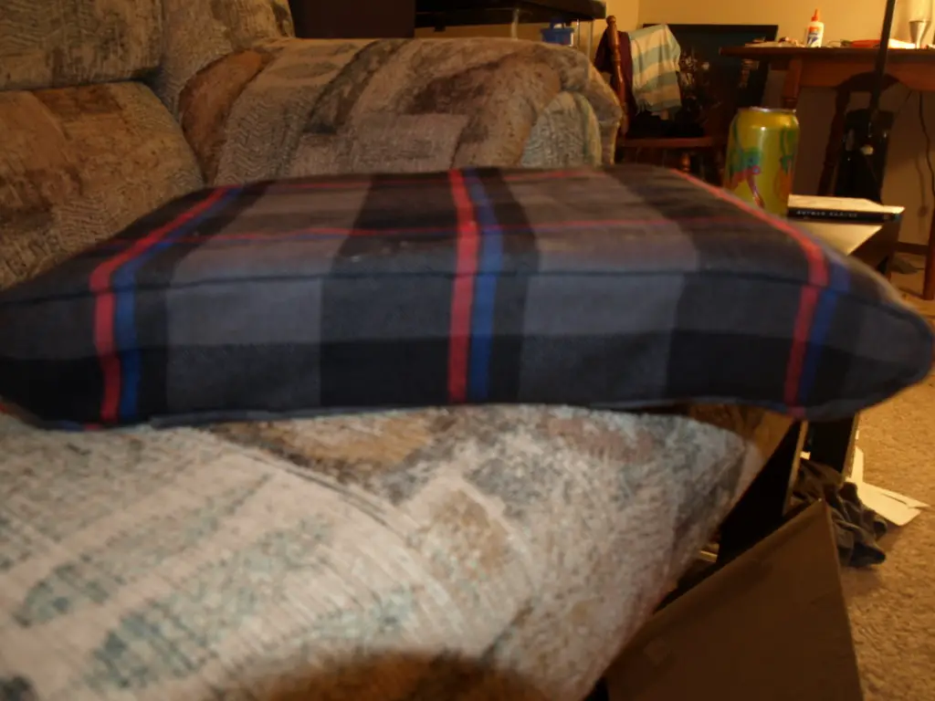 P7293484.jpg
