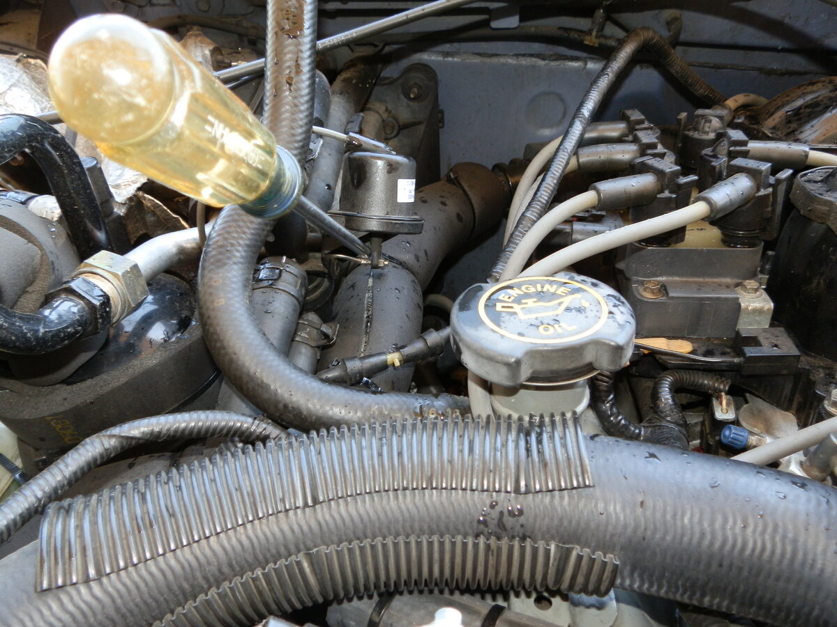 P9020014.JPG