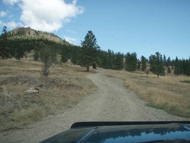 P9020336.jpg