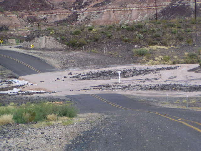 P9070627.jpg