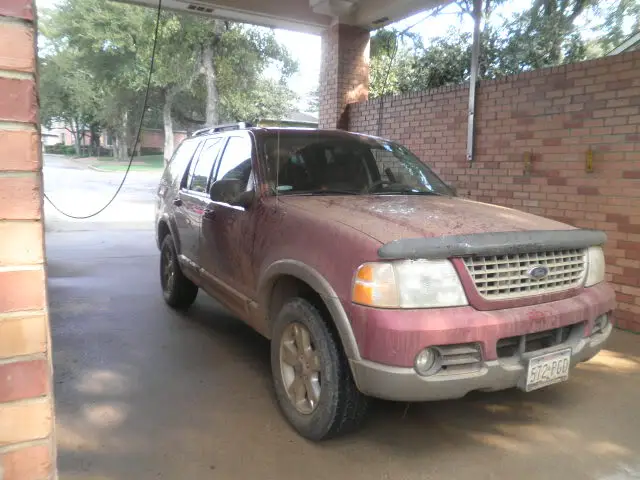 P9130055.jpg