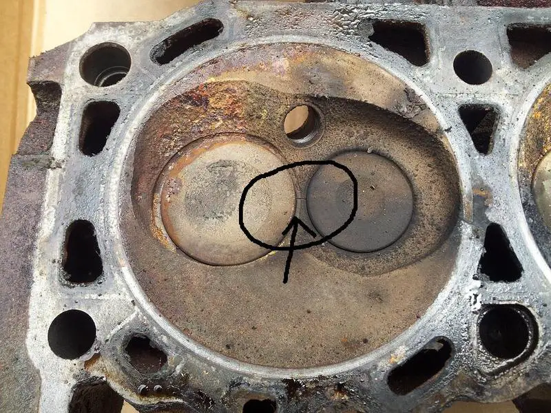passengerhead2.jpg