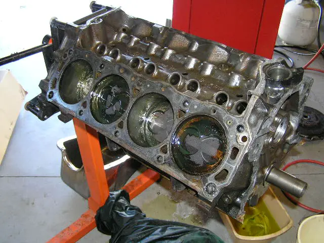 PB050081.jpg
