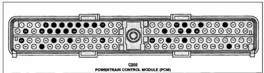 PCM-Conn-1998-5.0L.png