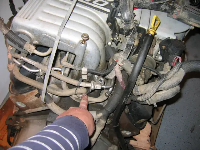 pcv.jpg