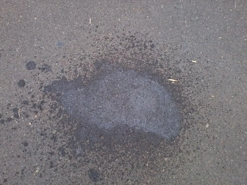 Photo174.jpg
