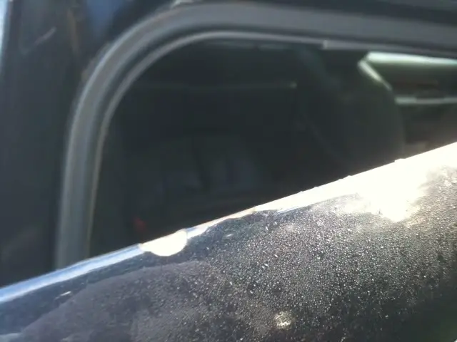 photo1copy.jpg