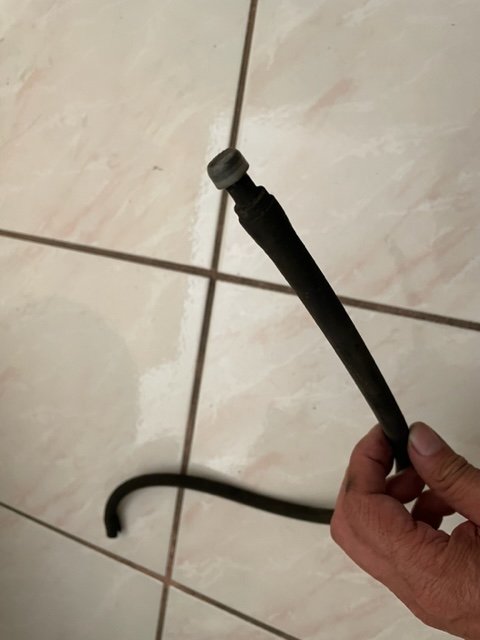 pic1.jpg