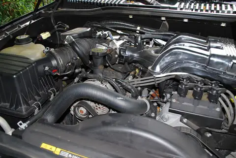 pic2.jpg