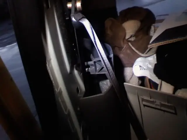 pic2.jpg