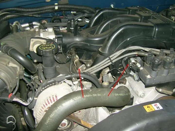 pic2.jpg