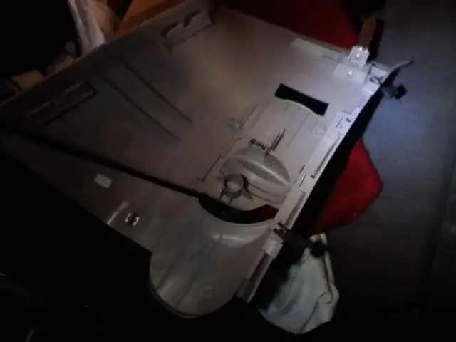 pic4.jpg