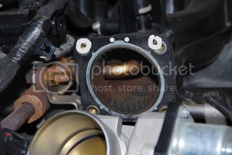 pic5.jpg