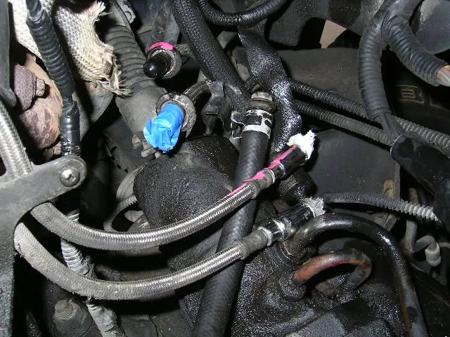 PICT0077.JPG