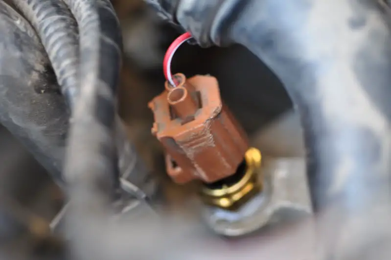 Plug.jpg