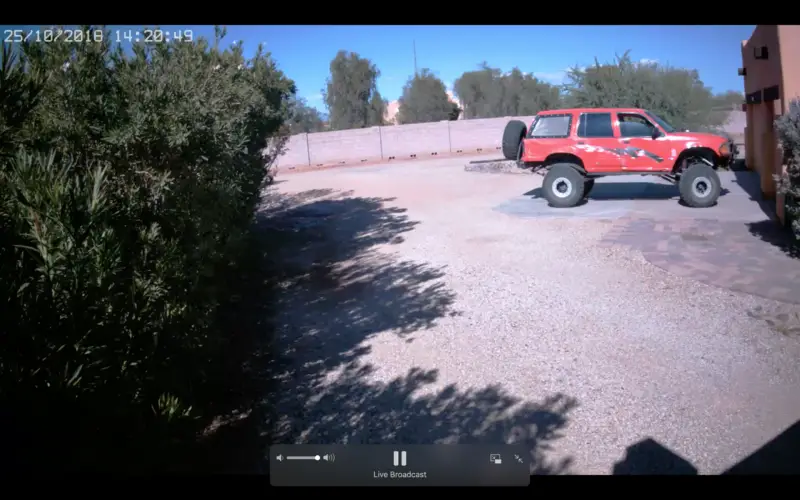 pumpkin_driveway.png