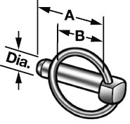 Qd8.jpg