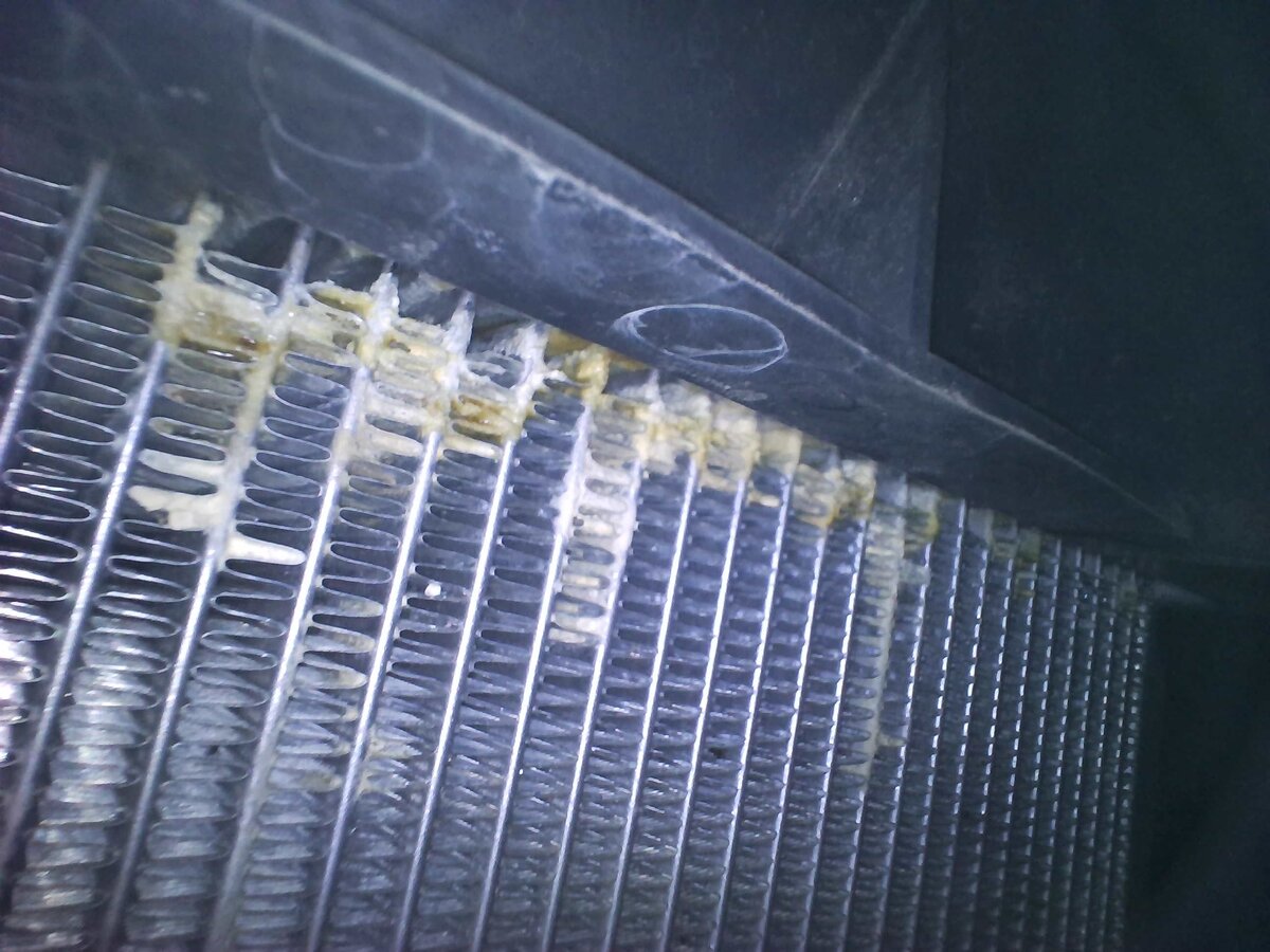 Radiator 2021.jpg