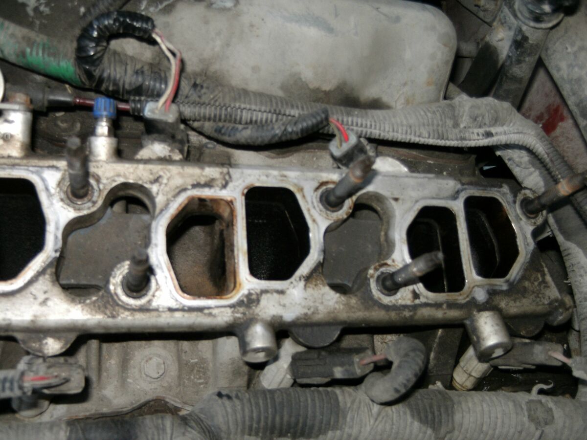 raVv7dp.jpg